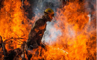 森林防火無線應(yīng)急指揮系統(tǒng)_北峰通信專業(yè)森林防火通信解決方案