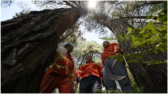 應急調度指揮系統(tǒng)|國家應急救援通信